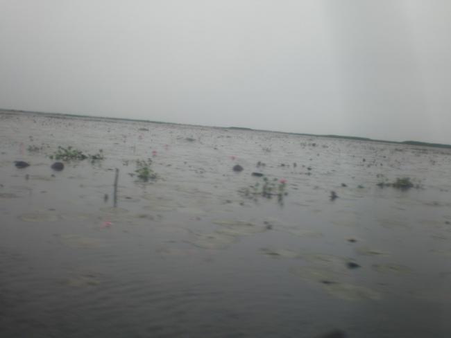 SANY7403.jpg
